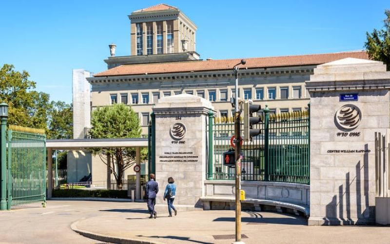 Guatemala se reúne con la República Popular de China en la OMC, y solicita información sobre la situación de las exportaciones de macadamia y café